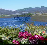 Donalea Bed  Breakfast Tasmania - New Castle Holiday