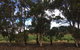 Eldorado Tourist And Residential Park - thumb 6