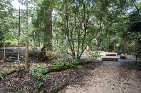 Eungella National Park Camping - New Castle Holiday 0