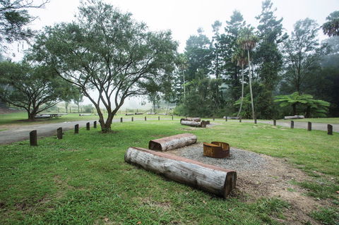Eungella National Park Camping - New Castle Holiday 1