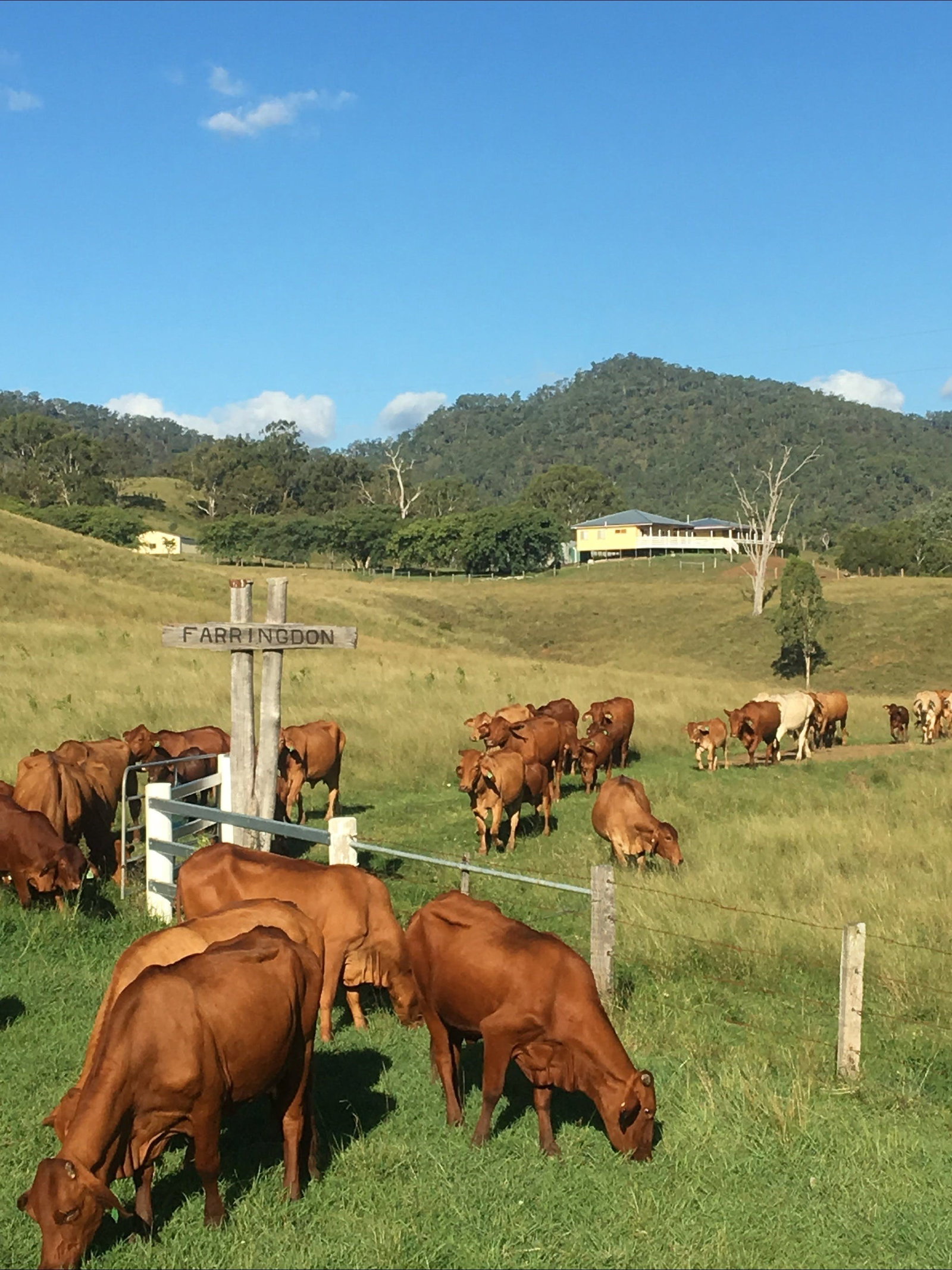 Tabooba QLD New Castle Holiday