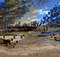 Four Mile Camping Reserve - New Castle Holiday