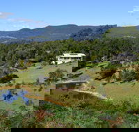 Golden Wattle - Kiaroo - New Castle Holiday