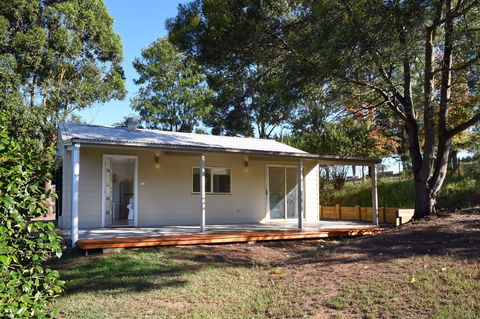 Golden Wattle - Kiaroo - New Castle Holiday 1