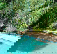 Grungle Downs Tropical Bed and Breakfast - New Castle Holiday