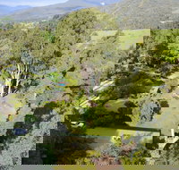 Kiewa Country Cottages - New Castle Holiday