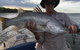 Kimberley Coastal Camp - thumb 5
