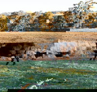 Lone Pine Homestead - New Castle Holiday