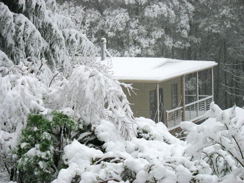 Lyrebird Cottages - New Castle Holiday 2