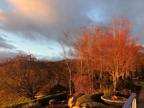 Mole Creek Hideaway - New Castle Holiday 0