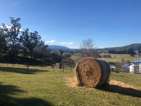 Mole Creek Hideaway - New Castle Holiday 4