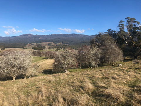 Mole Creek Hideaway - New Castle Holiday 5