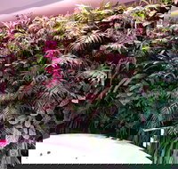 Ocean Blue B and B - New Castle Holiday