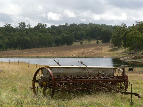 Terab Park Farm - New Castle Holiday 4