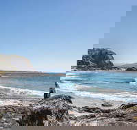 The A Frame - New Castle Holiday