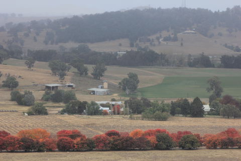 Tilga Guest Stay - New Castle Holiday 1