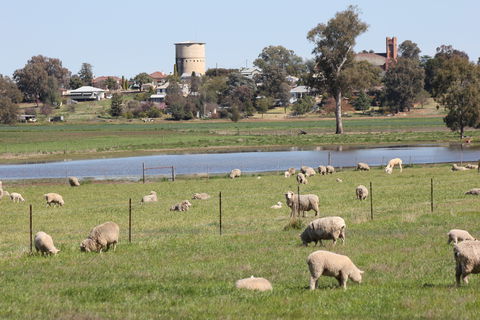 Tilga Guest Stay - New Castle Holiday 5