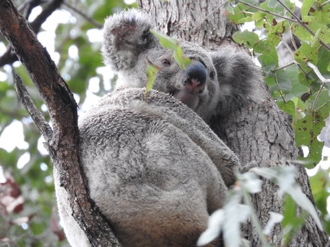 Twilight Grove Farm Bed And Breakfast - New Castle Holiday 1