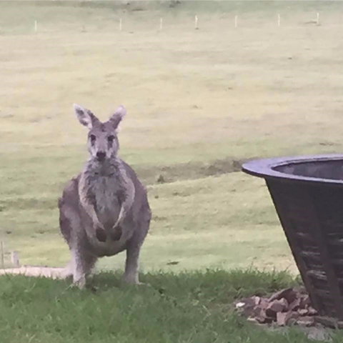 Valle Laguna - New Castle Holiday 4