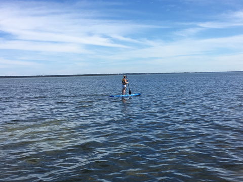 Waterfront Retreat At Wattle Point - New Castle Holiday 3