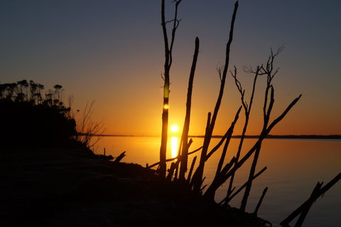 Waterfront Retreat At Wattle Point - New Castle Holiday 6