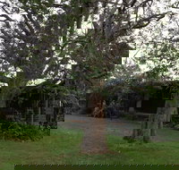 Wonga - New Castle Holiday