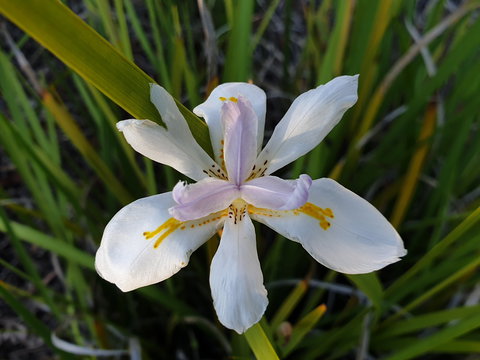 Woodlane Cottages Hunter Valley - New Castle Holiday 2