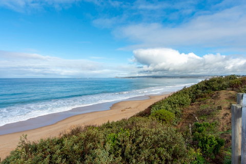 Absolute Boomer - New Castle Holiday 1