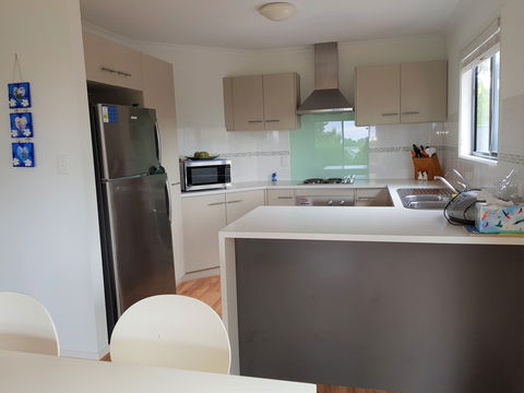 Adonis Dream - New Castle Holiday 2