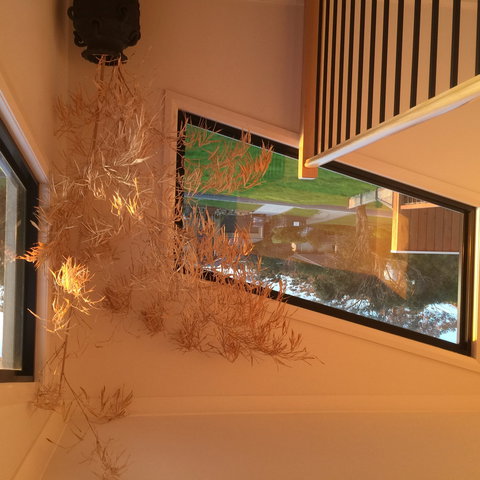 Barefoot Beach Stays - New Castle Holiday 1