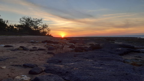 Beachfront Beauty - New Castle Holiday 0