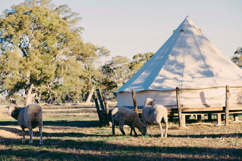 Bellwether Wines - New Castle Holiday 2