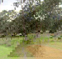 Ben Halls campground - New Castle Holiday