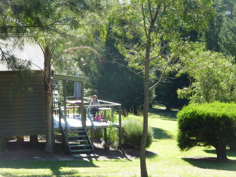 Blue Gums Cottage - New Castle Holiday 0