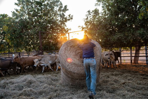 Bullo River Station - New Castle Holiday 2