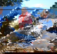 Cedar Glen Farmstay - New Castle Holiday