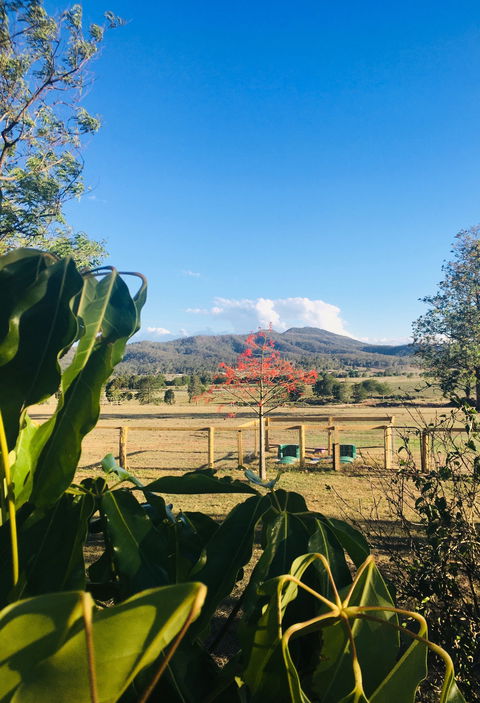 Clandulla Cottages & Farmstay - New Castle Holiday 2