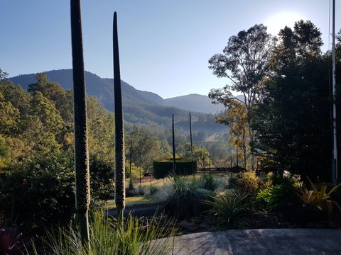 Cougal Park Bed And Breakfast - New Castle Holiday 1