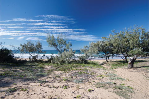 Deepwater National Park Camping - New Castle Holiday 0