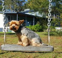 Finchley Bed and Breakfast Pet Friendly - New Castle Holiday