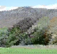 Jessica's Guest House and Vineyard - New Castle Holiday