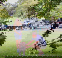 Kirra Beach Tourist Park - New Castle Holiday