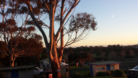 Limestone Coast Tourist Park - New Castle Holiday 1