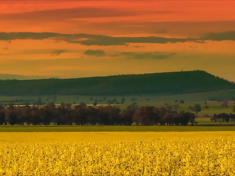 Lockhart Motel - New Castle Holiday 1