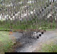 Meroo Head campground - New Castle Holiday