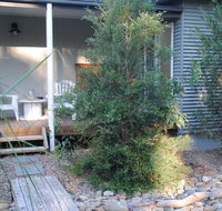Native B and B - Callala Bay - New Castle Holiday
