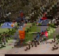 Ngarigo campground - New Castle Holiday