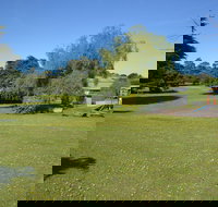 Pine Country Caravan Park - Pet Friendly - New Castle Holiday