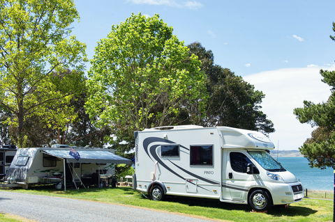 Rainbow Pines Tourist Caravan Park - New Castle Holiday 0
