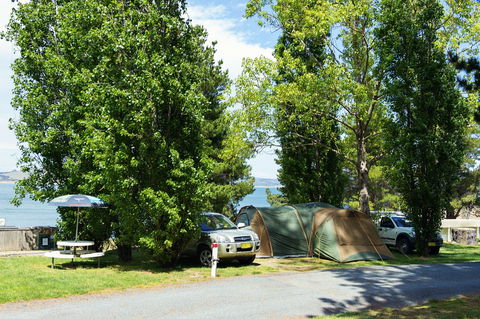 Rainbow Pines Tourist Caravan Park - New Castle Holiday 1